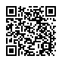 To view this 2009 Honda Fit Cedar City UT from 4 Seasons Auto Sales, please scan this QR code with your smartphone or tablet to view the mobile version of this page.