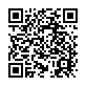 To view this 2016 Dodge Dart St. George  from 4 Seasons Auto Sales, please scan this QR code with your smartphone or tablet to view the mobile version of this page.