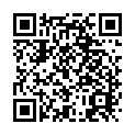 To view this 2014 Ford Fiesta St. George  from 4 Seasons Auto Sales, please scan this QR code with your smartphone or tablet to view the mobile version of this page.