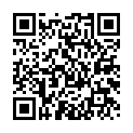 To view this 2009 Honda Fit St. George  from 4 Seasons Auto Sales, please scan this QR code with your smartphone or tablet to view the mobile version of this page.