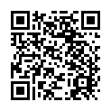 To view this 2012 Honda Fit St. George  from 4 Seasons Auto Sales, please scan this QR code with your smartphone or tablet to view the mobile version of this page.