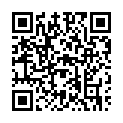 To view this 2015 Hyundai Elantra St. George  from 4 Seasons Auto Sales, please scan this QR code with your smartphone or tablet to view the mobile version of this page.