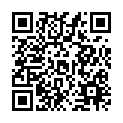 To view this 2014 Dodge Charger St. George  from 4 Seasons Auto Sales, please scan this QR code with your smartphone or tablet to view the mobile version of this page.