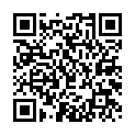 To view this 2012 Honda Fit St. George  from 4 Seasons Auto Sales, please scan this QR code with your smartphone or tablet to view the mobile version of this page.