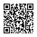 To view this 2020 Hyundai Elantra St. George  from 4 Seasons Auto Sales, please scan this QR code with your smartphone or tablet to view the mobile version of this page.