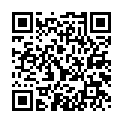 To view this 2013 Ford Flex St. George  from 4 Seasons Auto Sales, please scan this QR code with your smartphone or tablet to view the mobile version of this page.