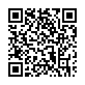 To view this 2013 Ford Transit Connect St. George  from 4 Seasons Auto Sales, please scan this QR code with your smartphone or tablet to view the mobile version of this page.