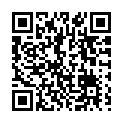 To view this 2014 Ford Flex St. George  from 4 Seasons Auto Sales, please scan this QR code with your smartphone or tablet to view the mobile version of this page.