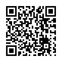 To view this 2012 Ford Flex St. George  from 4 Seasons Auto Sales, please scan this QR code with your smartphone or tablet to view the mobile version of this page.