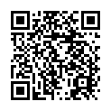 To view this 2011 Chrysler 200 St. George  from 4 Seasons Auto Sales, please scan this QR code with your smartphone or tablet to view the mobile version of this page.