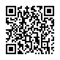 To view this 2013 Ford Expedition St. George  from 4 Seasons Auto Sales, please scan this QR code with your smartphone or tablet to view the mobile version of this page.