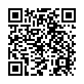 To view this 2012 Volkswagen Tiguan St. George  from 4 Seasons Auto Sales, please scan this QR code with your smartphone or tablet to view the mobile version of this page.
