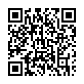 To view this 2015 Dodge Journey St. George  from 4 Seasons Auto Sales, please scan this QR code with your smartphone or tablet to view the mobile version of this page.