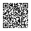 To view this 2010 Ford Transit Connect St. George  from 4 Seasons Auto Sales, please scan this QR code with your smartphone or tablet to view the mobile version of this page.