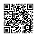 To view this 2004 Chrysler Pacifica St. George  from 4 Seasons Auto Sales, please scan this QR code with your smartphone or tablet to view the mobile version of this page.