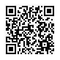 To view this 2016 Hyundai Accent St. George  from 4 Seasons Auto Sales, please scan this QR code with your smartphone or tablet to view the mobile version of this page.