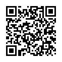 To view this 2013 Volkswagen Tiguan St. George  from 4 Seasons Auto Sales, please scan this QR code with your smartphone or tablet to view the mobile version of this page.