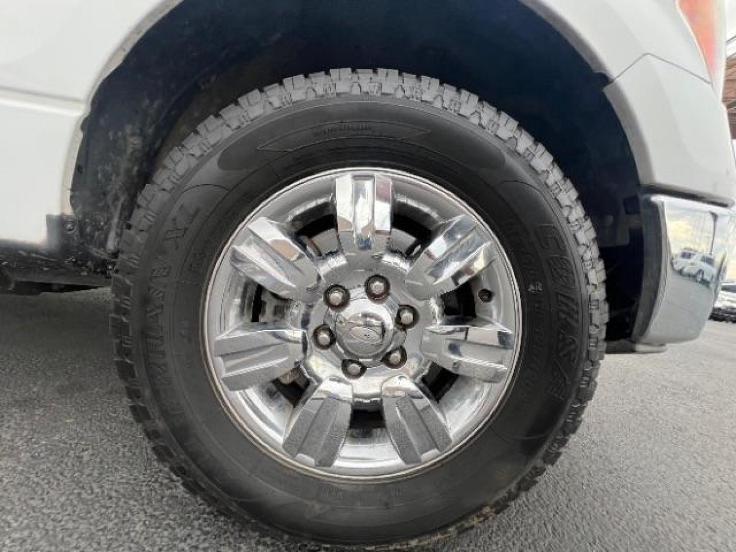 2011 Oxford White /Black Cloth Interior Ford F-150 FX2 SuperCrew 5.5-ft. Bed 2WD (1FTFW1CF0BF) with an 5.0L V8 engine, 6-Speed Automatic transmission, located at 1865 East Red Hills Pkwy, St. George, 84770, (435) 628-0023, 37.120850, -113.543640 - We specialize in helping ALL people get the best financing available. No matter your credit score, good, bad or none we can get you an amazing rate. Had a bankruptcy, divorce, or repossessions? We give you the green light to get your credit back on the road. Low down and affordable payments that fit - Photo#8