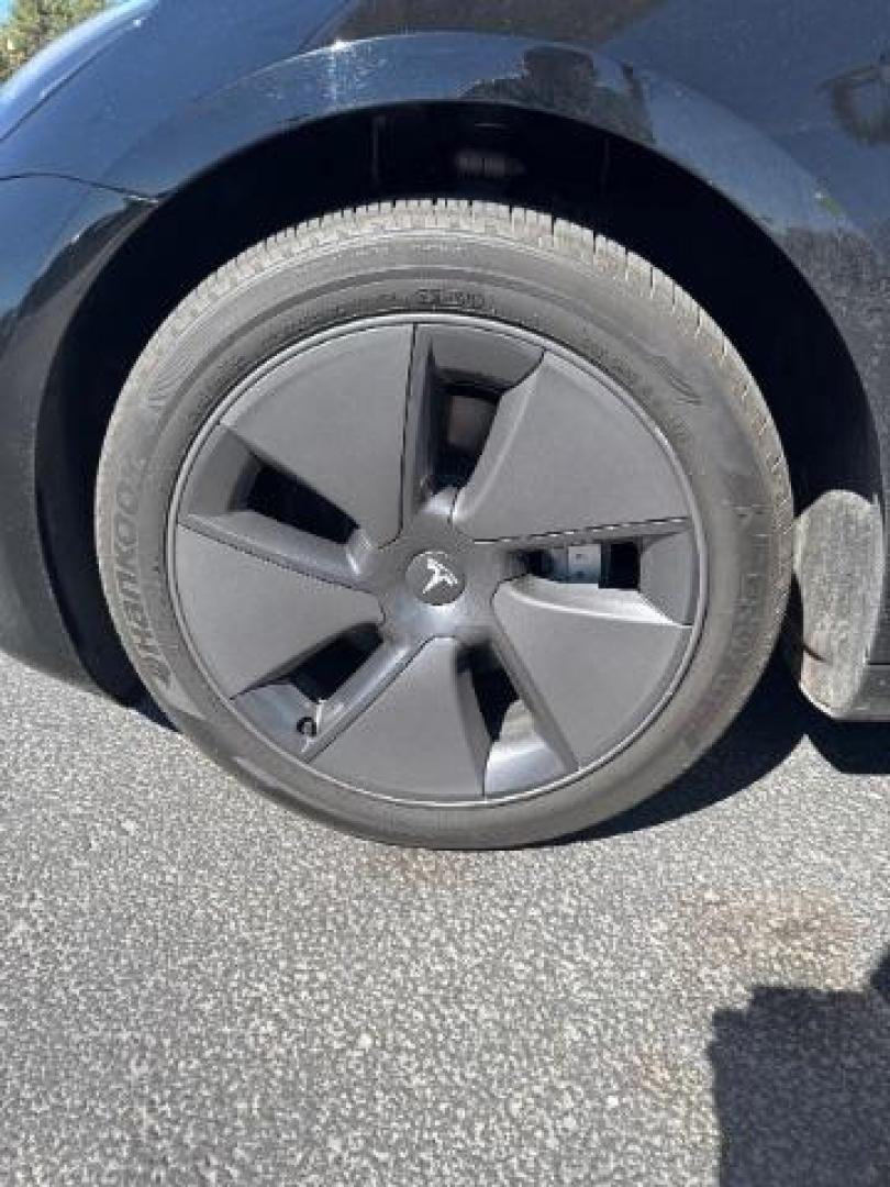 2023 Solid Black /White/Black Tesla Model 3 Rear-Wheel Drive (5YJ3E1EAXPF) with an ELECTRIC engine, Electric transmission, located at 1865 East Red Hills Pkwy, St. George, 84770, (435) 628-0023, 37.120850, -113.543640 - We specialize in helping ALL people get the best financing available. No matter your credit score, good, bad or none we can get you an amazing rate. Had a bankruptcy, divorce, or repossessions? We give you the green light to get your credit back on the road. Low down and affordable payments that fit - Photo#4