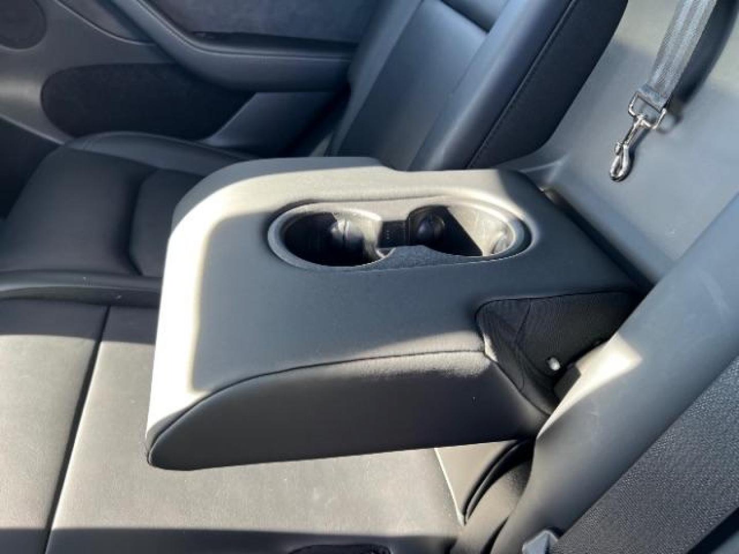 2023 Red Multi-Coat /Black Tesla Model Y Long Range Dual Motor All-Wheel Drive | AWD (7SAYGAEE6PF) with an ELECTRIC engine, Electric transmission, located at 1865 East Red Hills Pkwy, St. George, 84770, (435) 628-0023, 37.120850, -113.543640 - Photo#22