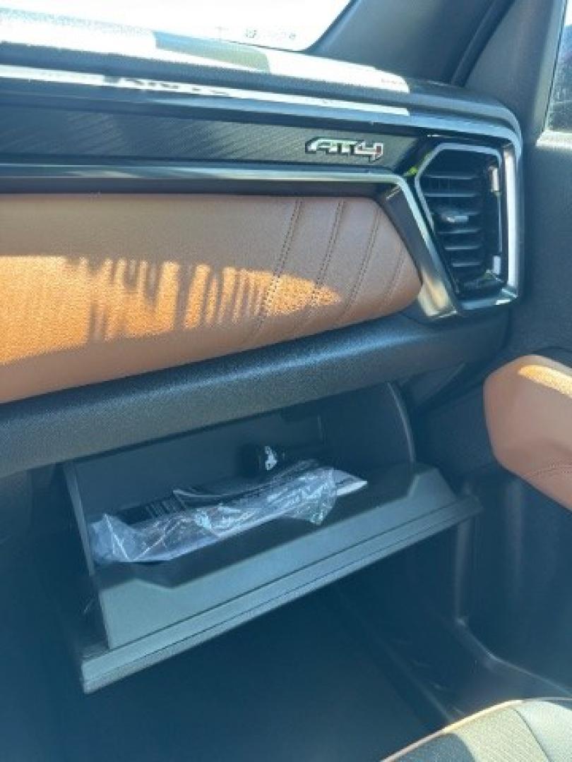 2026 Volcanic Red Tintcoat /Jet Black/Timber GMC Canyon AT4, 4WD (1GTP2DEK9T1) with an 2.7L I-4 direct injection engine, Automatic transmission, located at 1865 East Red Hills Pkwy, St. George, 84770, (435) 628-0023, 37.120850, -113.543640 - Practically new and ready for Southern Utah? This Volcanic Red Tintcoat 2026 GMC Canyon AT4 4WD brings a VIN-decoded 2.7L TurboMax 4-cylinder, 8-speed automatic, and confident 4x4 traction for daily driving, trailheads, and work. With only 13,031 miles, it has the look and capability of a fresh pick- Photo#32
